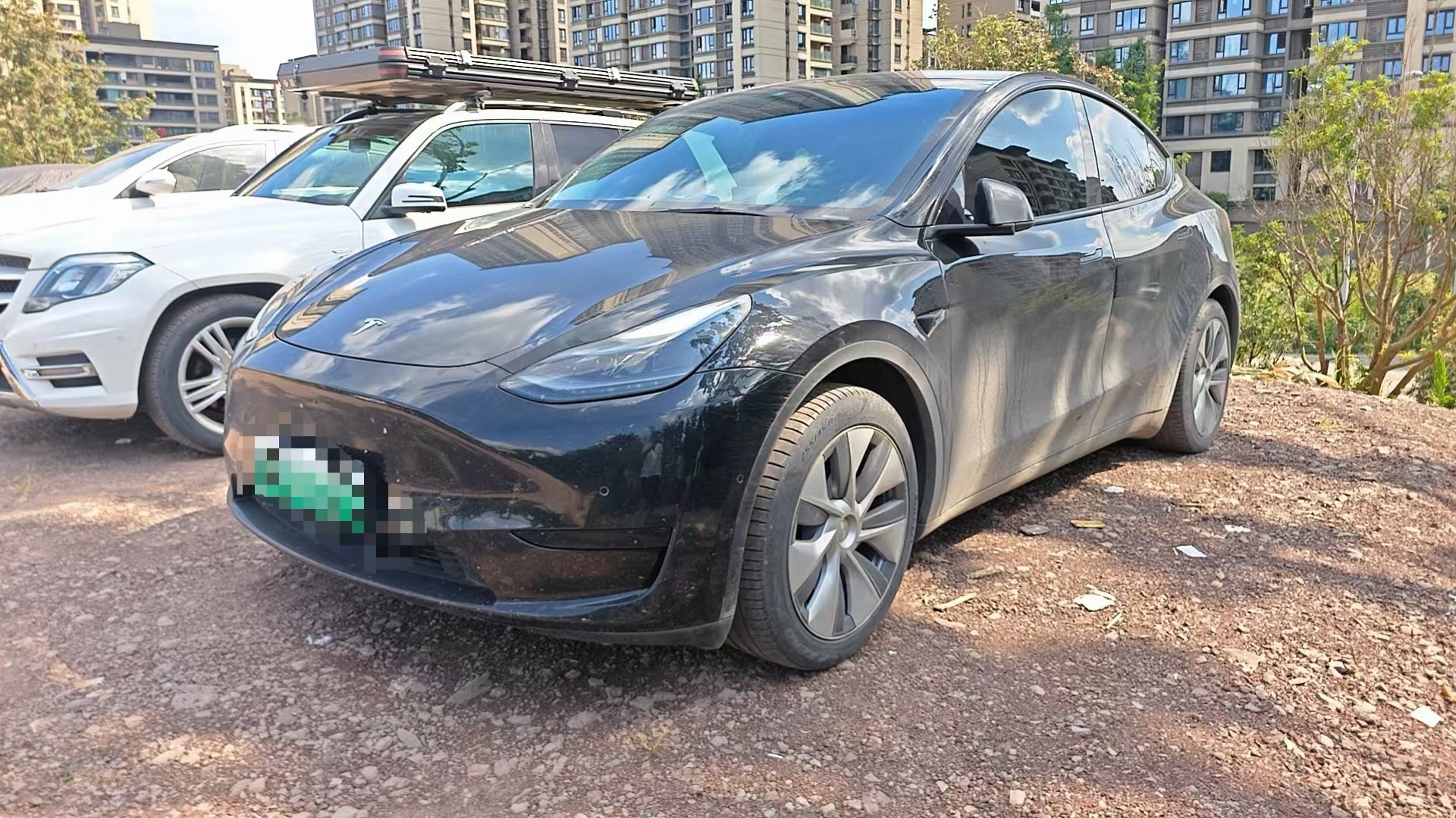 Tesla Model Y 2023 Tesla Model Y 2023 car image