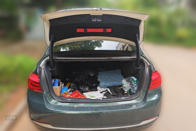 BMW 3 Series 2018 car image #21