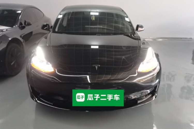 Tesla Model 3 2021 #3 Tesla Model 3 2021 car image #3