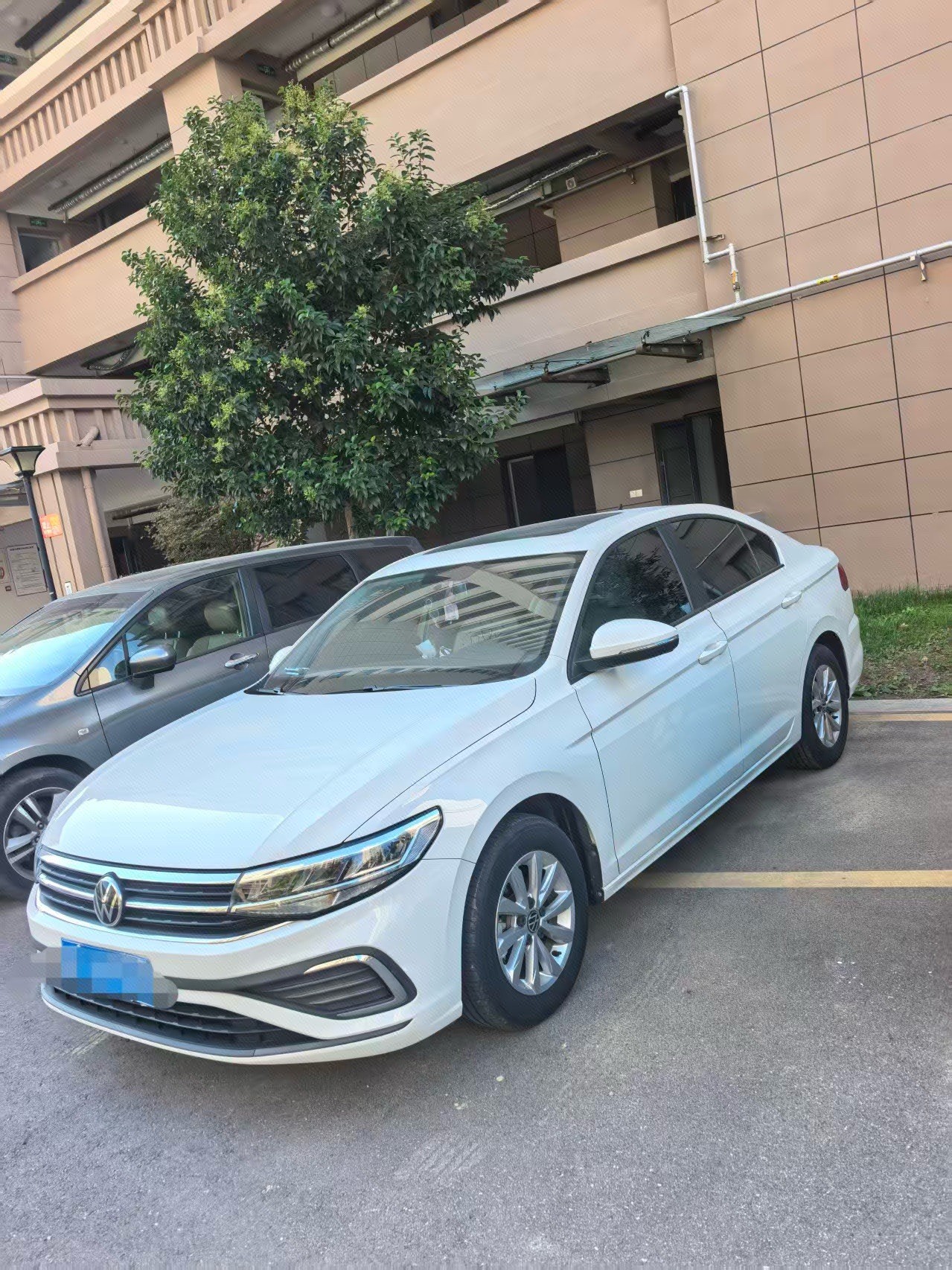 Volkswagen Bora 2022 car image 
