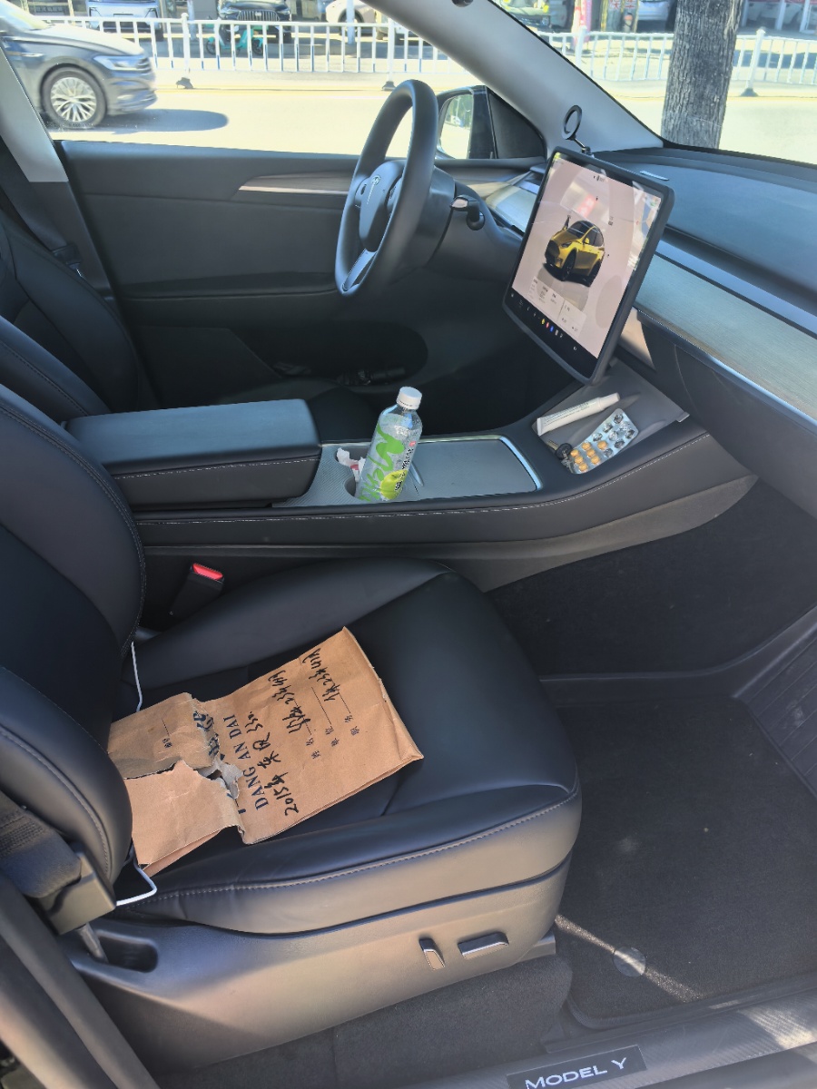 Tesla Model Y 2023 car image #4