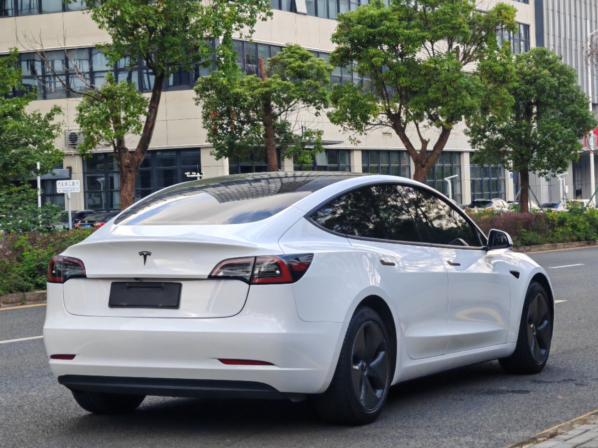 Tesla Model 3 2020 #9 Tesla Model 3 2020 car image #9