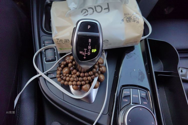 BMW 3 Series 2017 immagine di auto #16