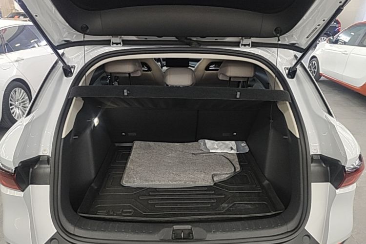 BYD Yuan Plus 2023 car image #19