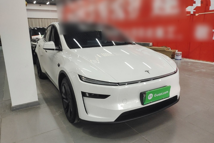 Tesla Model Y 2025 car image #4