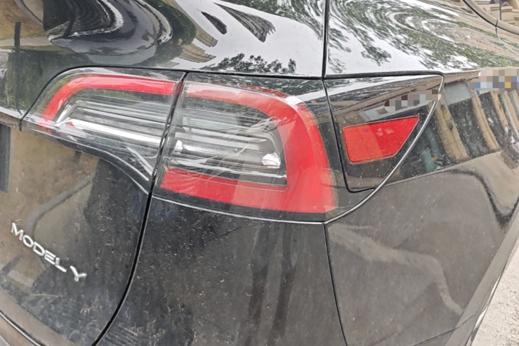 Tesla Model Y 2023 #8 Tesla Model Y 2023 car image #8