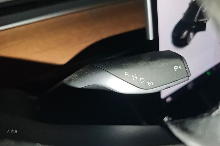 Tesla Model 3 2020 car image #16