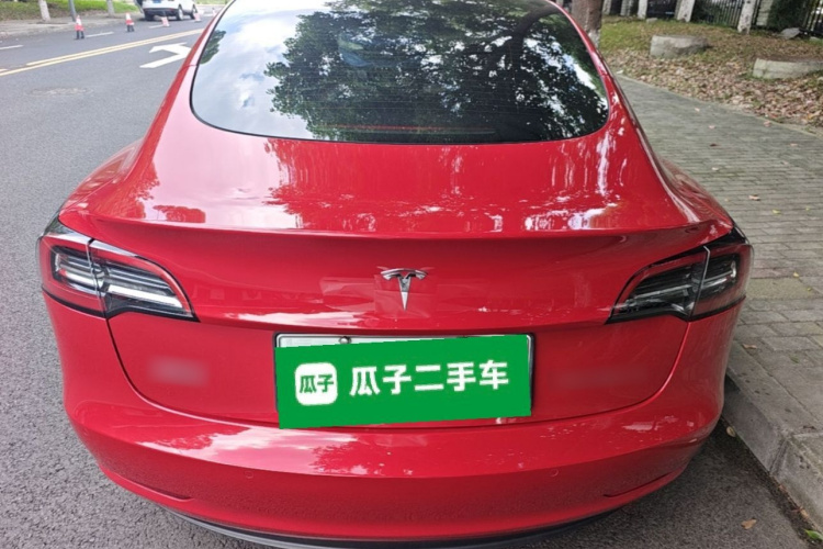 Tesla Model 3 2021 #6 Tesla Model 3 2021 car image #6