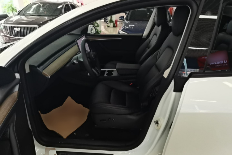 Tesla Model Y 2021 car image #15