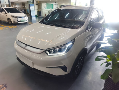 BYD Yuan Pro 2022 immagine di auto 