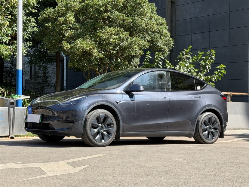 Tesla Model Y 2024 immagine di auto 