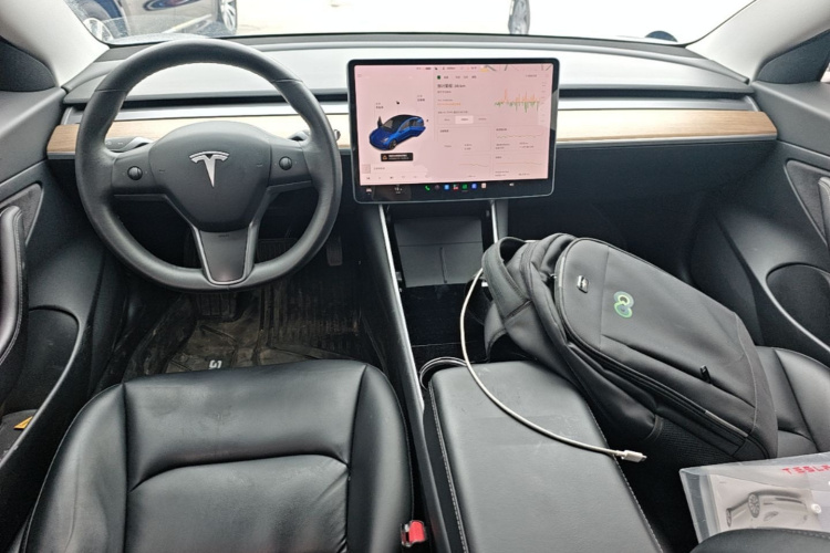 Tesla Model 3 2020 car image #10