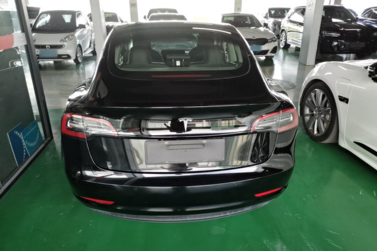 Tesla Model 3 2021 #6 Tesla Model 3 2021 car image #6