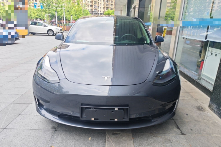 Tesla Model 3 2021 #3 Tesla Model 3 2021 car image #3