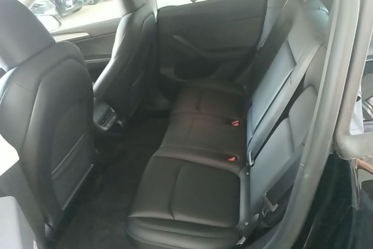 Tesla Model Y 2024 car image #17