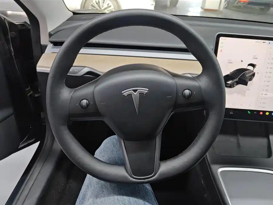 Tesla Model 3 2022 car image #10