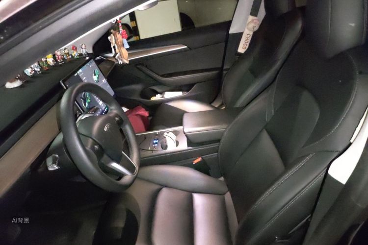 Tesla Model 3 2022 car image #17