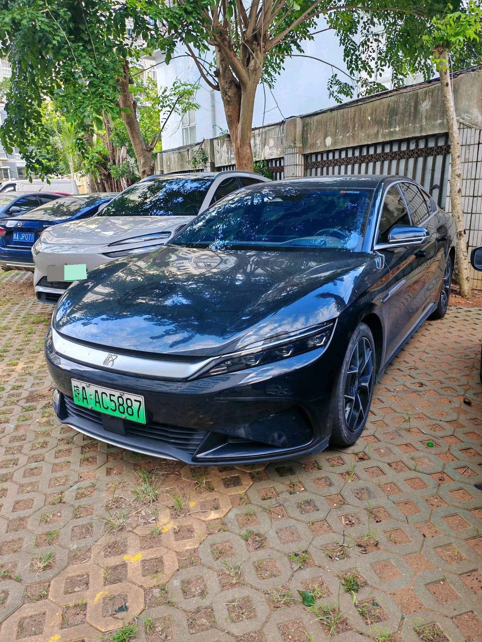 BYD Han 2024 car image 