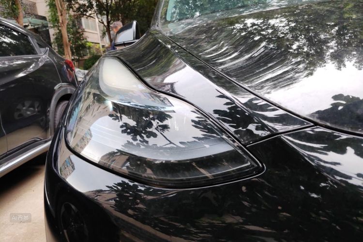 Tesla Model Y 2023 #8 Tesla Model Y 2023 car image #8