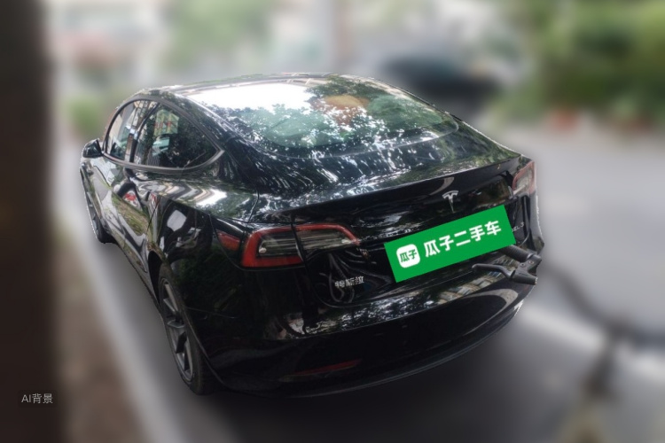 Tesla Model 3 2021 car image #5