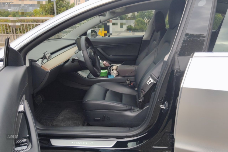 Tesla Model 3 2020 car image #17