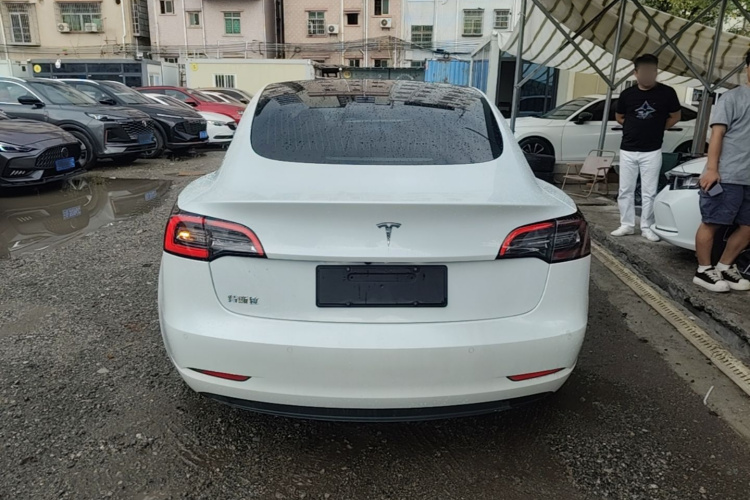Tesla Model 3 2020 car image #6