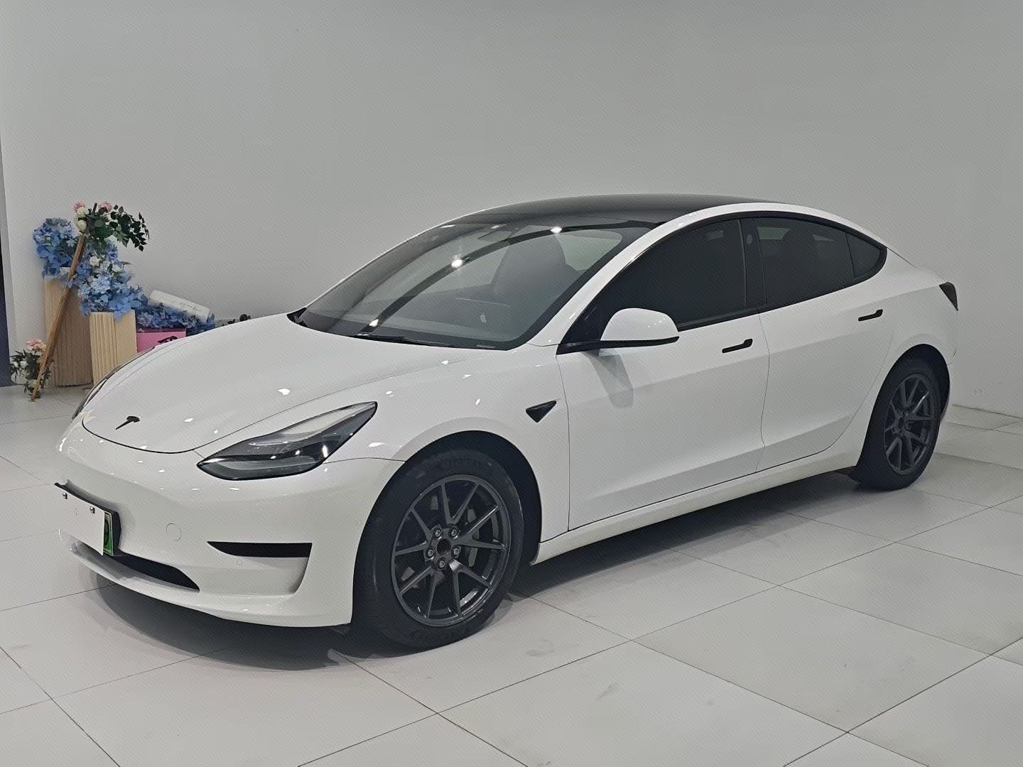 Tesla Model 3 2021 car image 