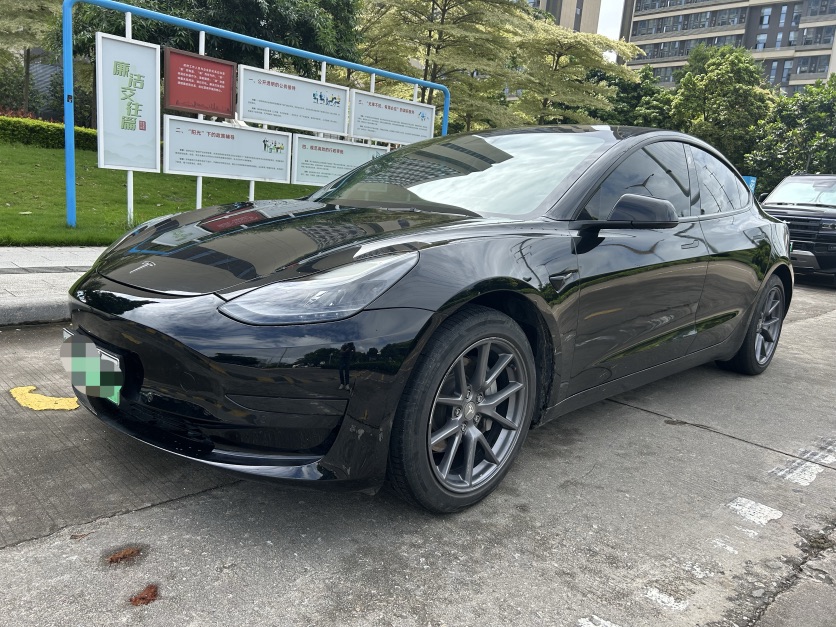 Tesla Model 3 2022 car image 