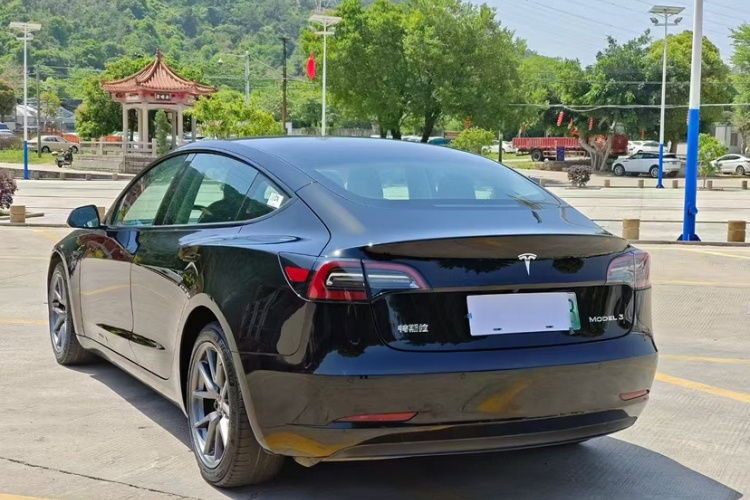 Tesla Model 3 2021 #7 Tesla Model 3 2021 car image #7