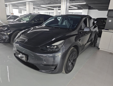 Tesla Model Y 2025 car image 