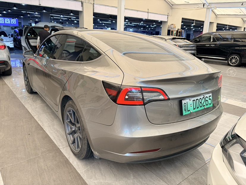 Tesla Model 3 2020 car image #3