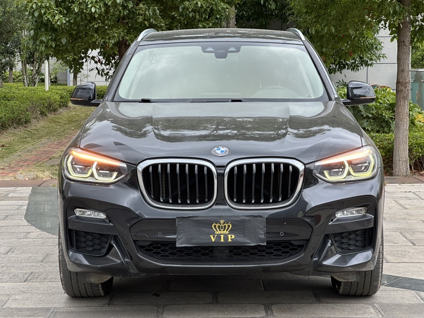 BMW X3 2019 #2 BMW X3 2019 immagine di auto #2