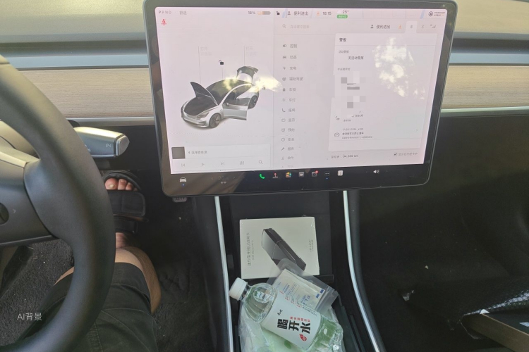 Tesla Model 3 2020 car image #15