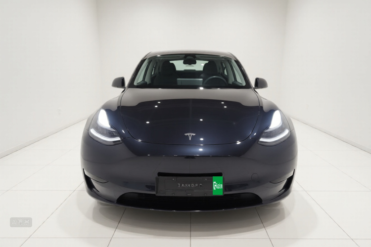Tesla Model Y 2024 #3 Tesla Model Y 2024 car image #3