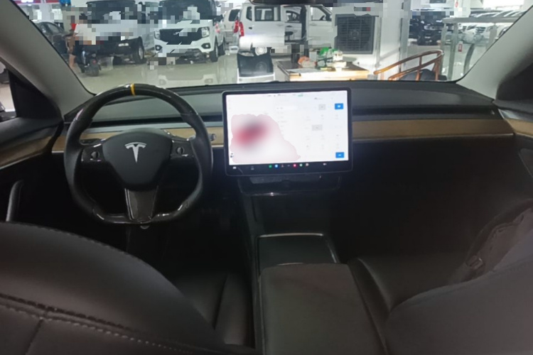 Tesla Model 3 2021 car image #10
