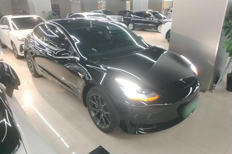 Tesla Model 3 2020 car image #4