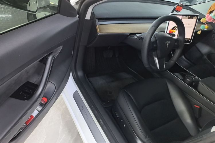 Tesla Model 3 2020 #12 Tesla Model 3 2020 car image #12