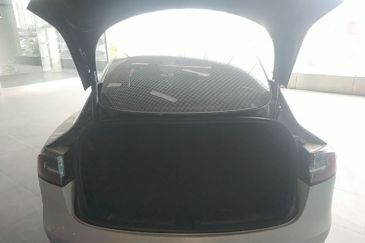 Tesla Model 3 2021 car image #19