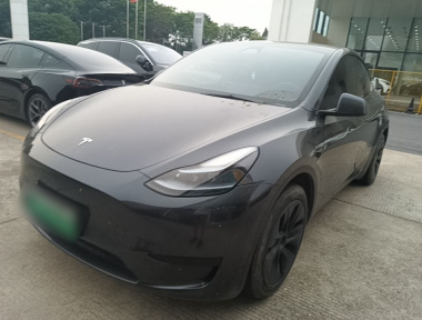 Tesla Model Y 2024 Tesla Model Y 2024 car image