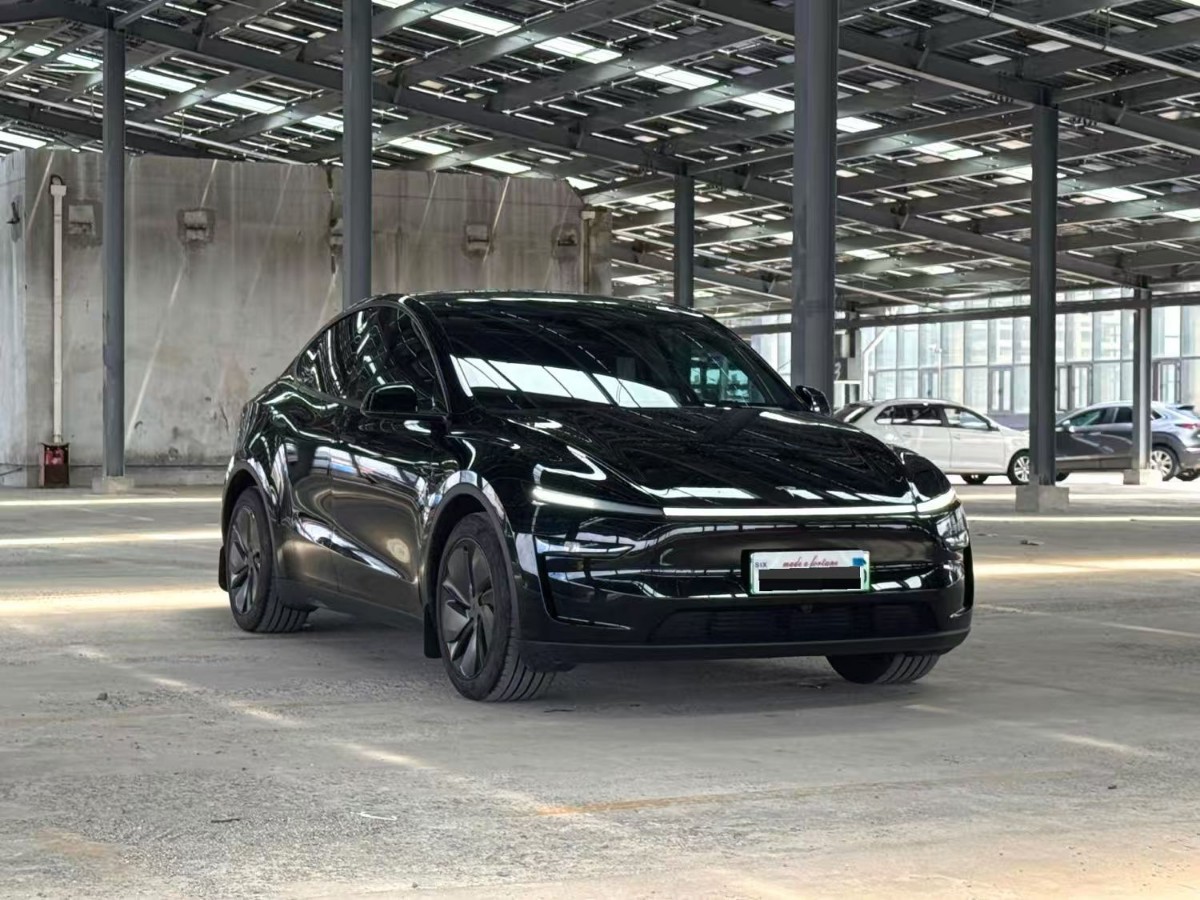 Tesla Model Y 2025 car image #2