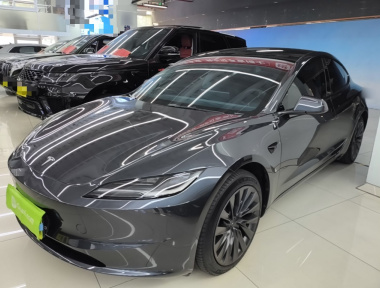 Tesla Model 3 2024 Tesla Model 3 2024 immagine di auto