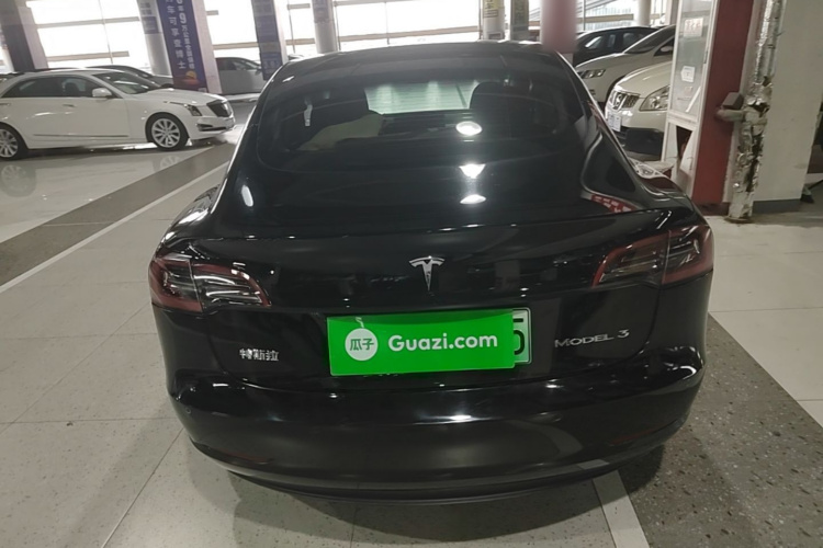 Tesla Model 3 2021 #4 Tesla Model 3 2021 immagine di auto #4