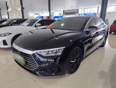 BYD Han 2024 car image 