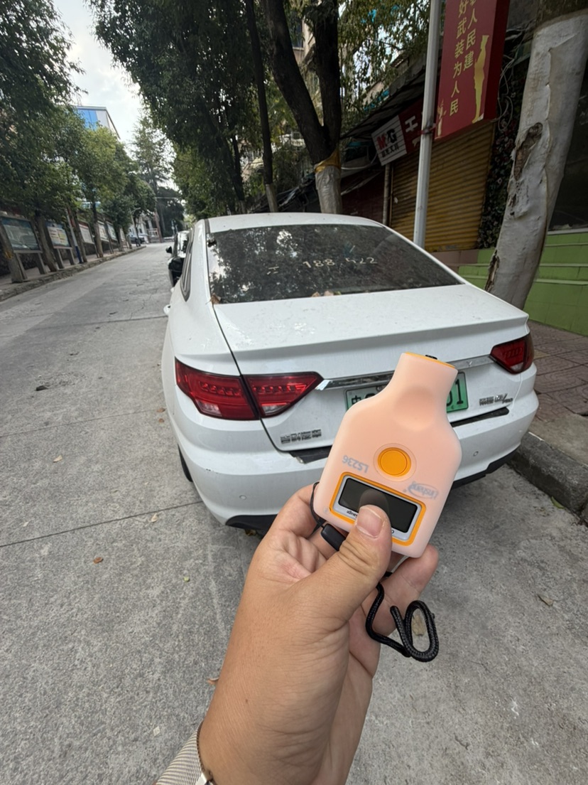 GEELY Emgrand New Energy 2023 car image #4