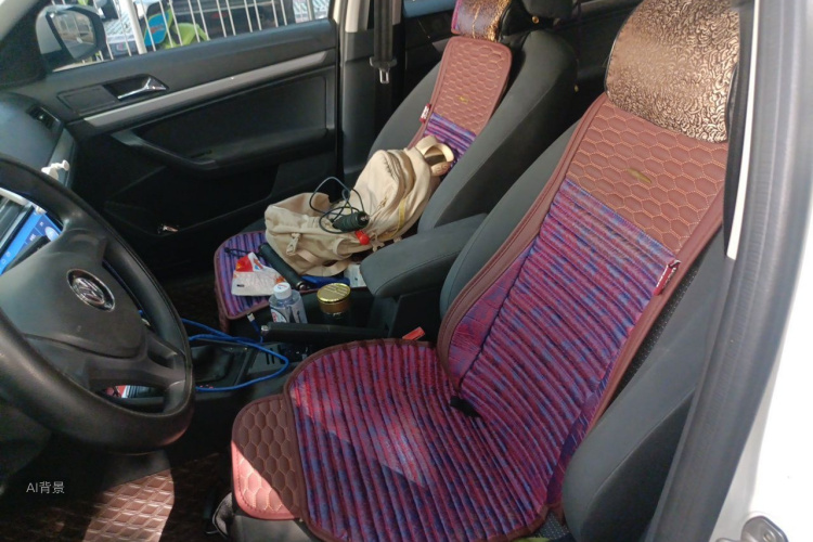 Volkswagen Lavida 2019 car image #17