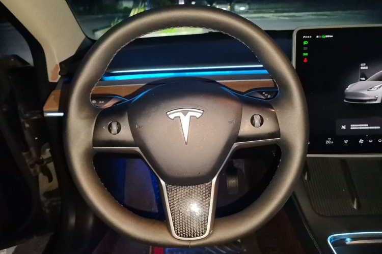 Tesla Model 3 2023 car image #15