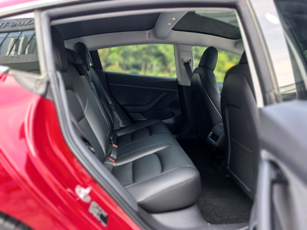 Tesla Model 3 2020 #12 Tesla Model 3 2020 car image #12