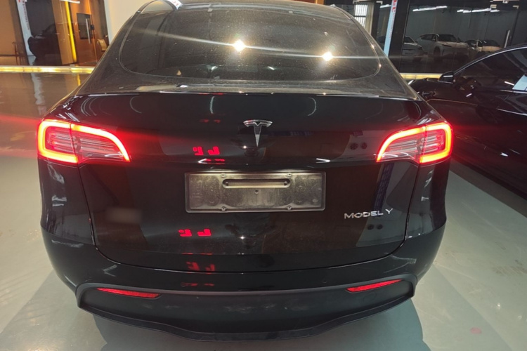Tesla Model Y 2021 #6 Tesla Model Y 2021 car image #6