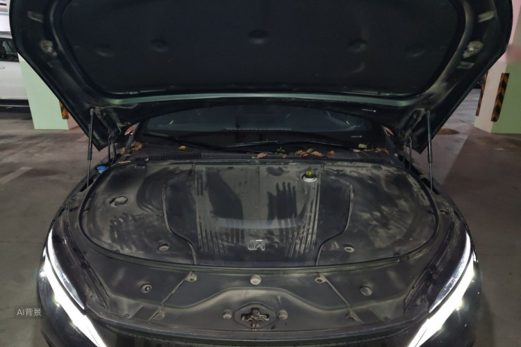 BYD Han 2022 car image #22