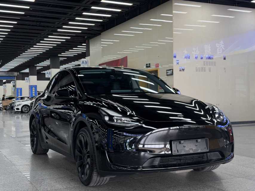 Tesla Model Y 2023 car image #3
